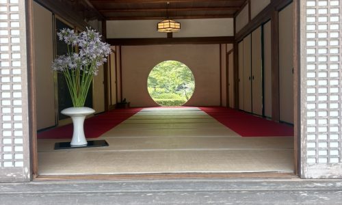 鎌倉へ行ってきました
