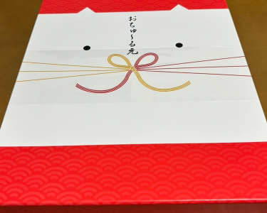 にゃんこ用？？