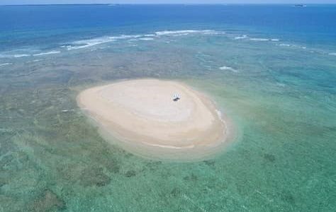 一足先に海に
